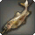 Grilled Urqotrout