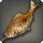 Mugwort Carp