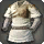 Ranger's Tunic