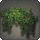 Wall Planter