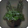 Low Barrel Planter