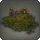 Bloodblossoms