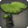 Lotus Parasol