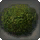 Rounded Shrub