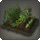Botanist's Garden