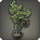 Il Mheg Planter