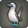 Blue-footed Booby